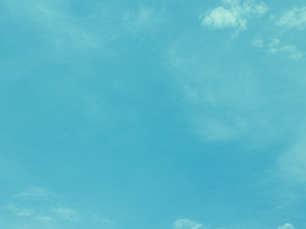 西宮市内でお墓探しをされるなら、西宮霊園ガイド　背景画像